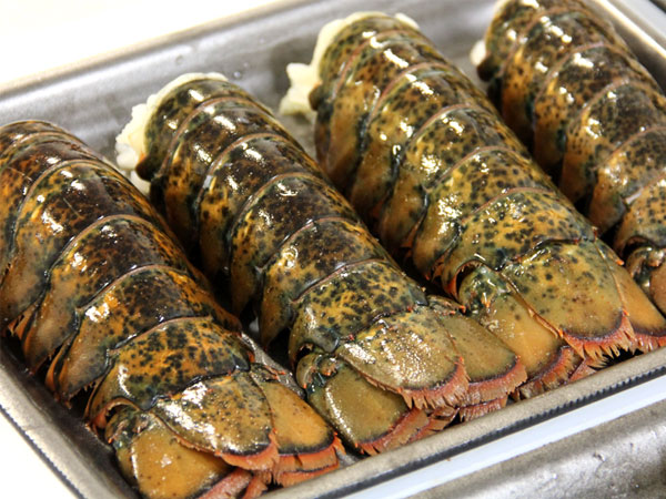 Lobster Tail Tray 1 LB