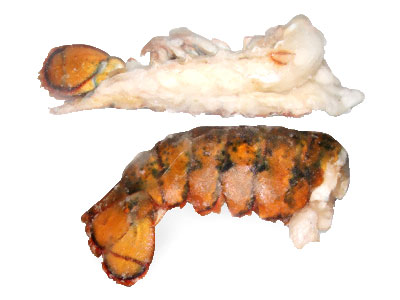 Split Lobster Tail